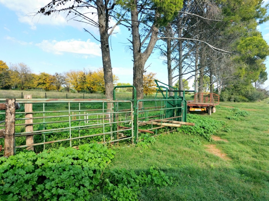 3 Bedroom Property for Sale in Bloemfontein Rural Free State